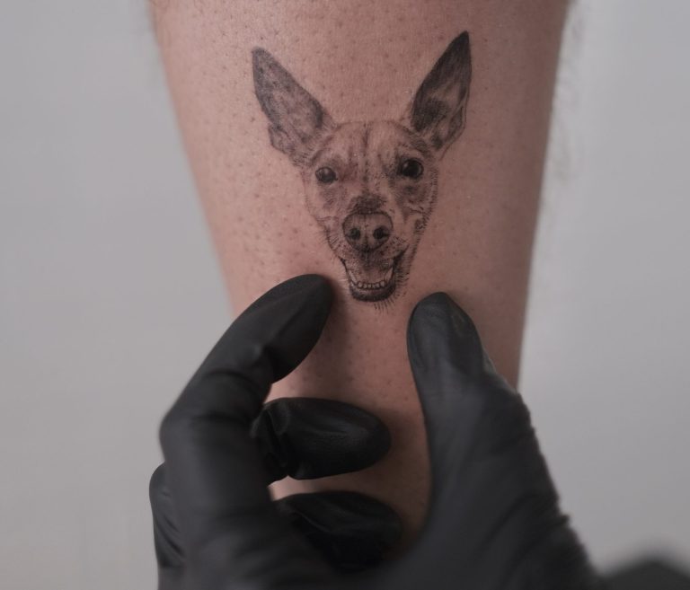 DSF0393 VSCO scaled e1764771255809